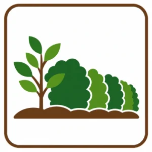Plantation de haies à Raucourt