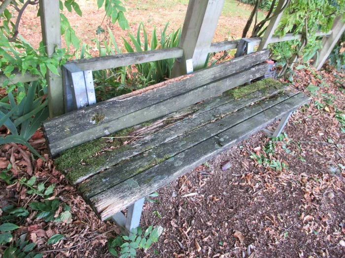 le banc du milieu, en très mauvais état