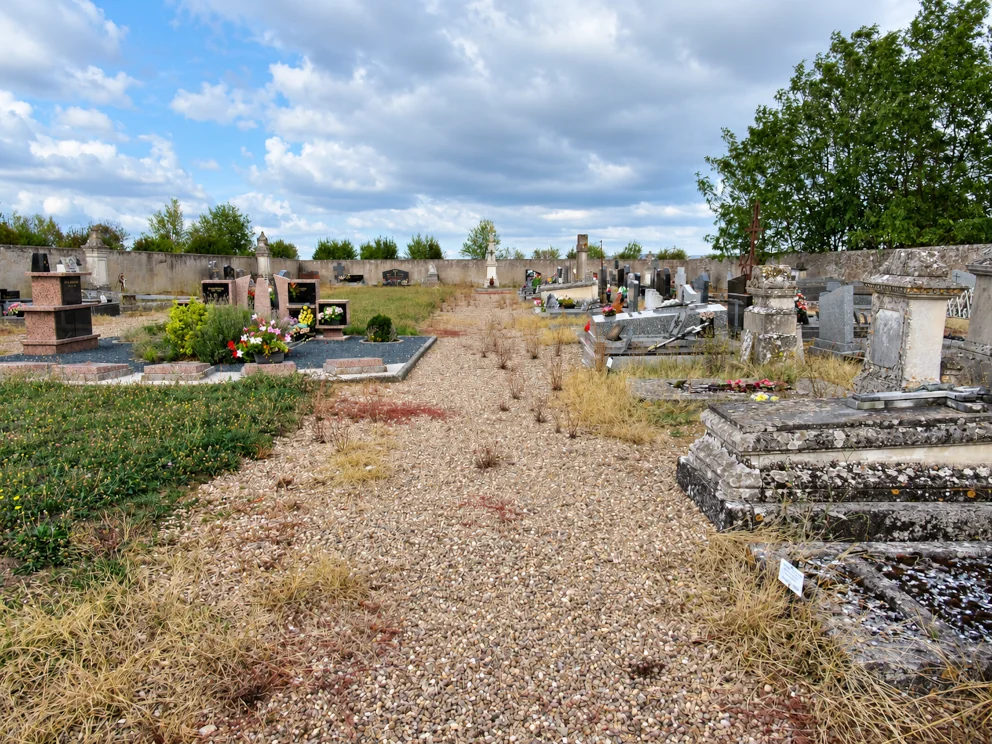 l'état du cimetière avant la matinée bénévole - photo sans trucage !